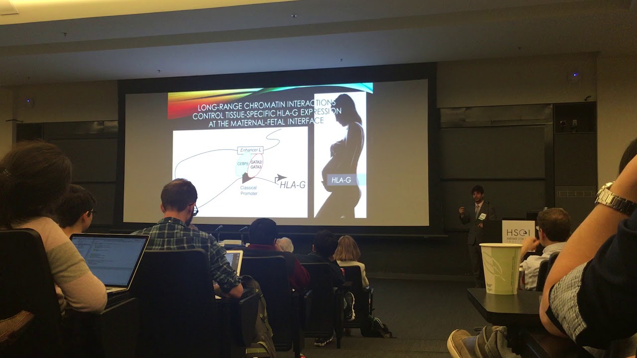 HLA-G and maternal-fetal tolerance