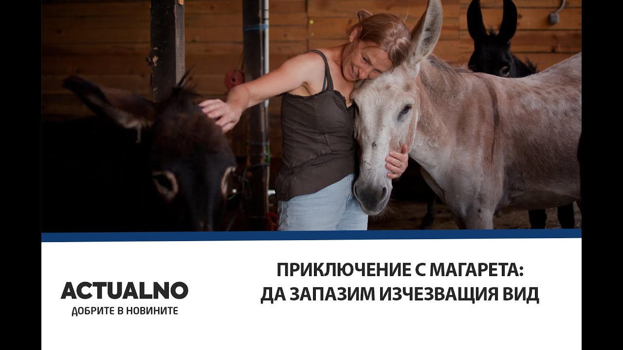 Приключение с магарета: Да запазим изчезващия вид