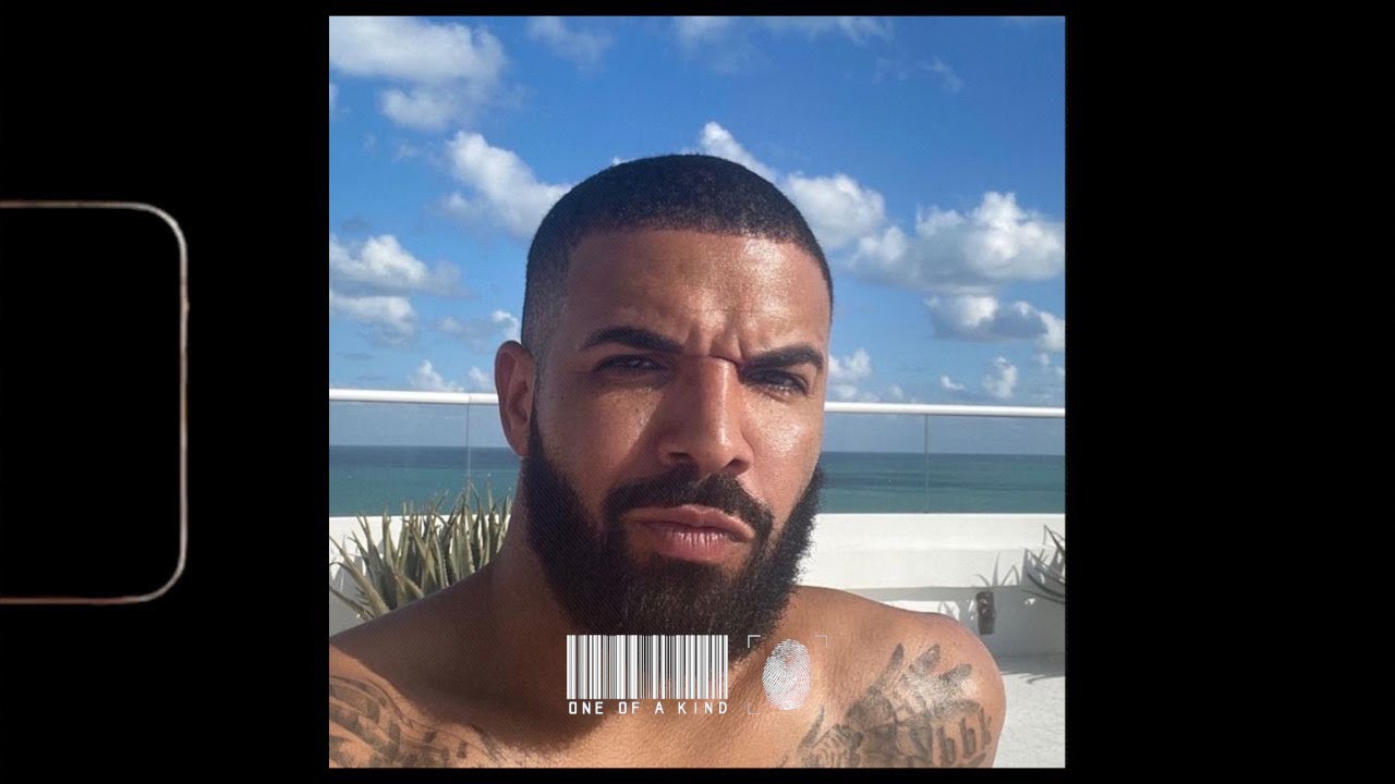 (FREE) Drake Honestly Nevermind Type Beat - 