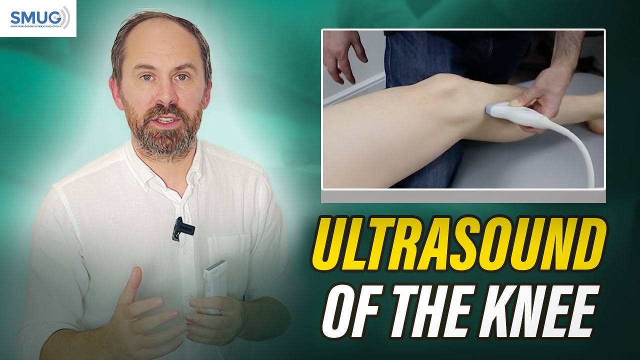 Knee MSK Ultrasound | Patellar Tendon, Ligaments & Bursa Assessment | SMUG Ultrasound Training