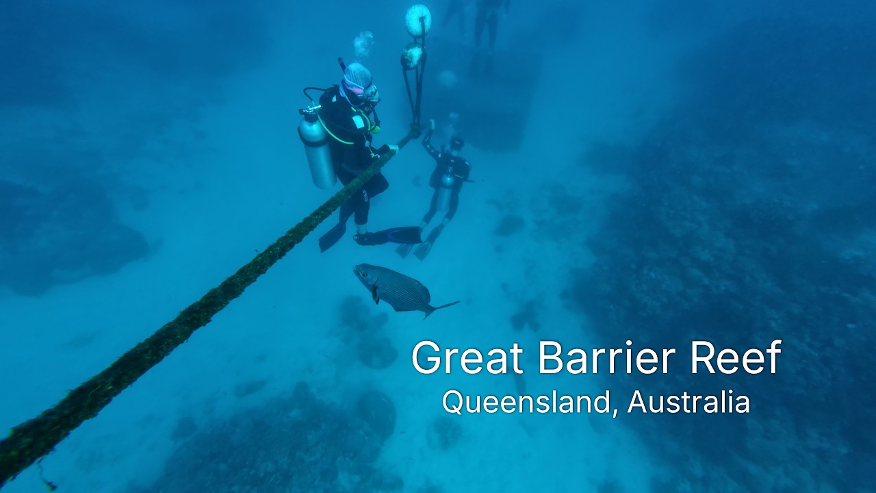 Great Barrier Reef | A Quiet Scuba Experience (4K)