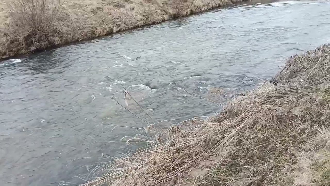 Rieka Nitra. Plánovaná trať 2