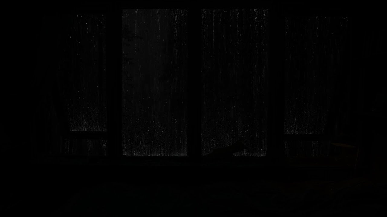 스트레스와 불면증은 잊어버리세요, 밤 숲에 내리는 가벼운 빗소리 ASMR