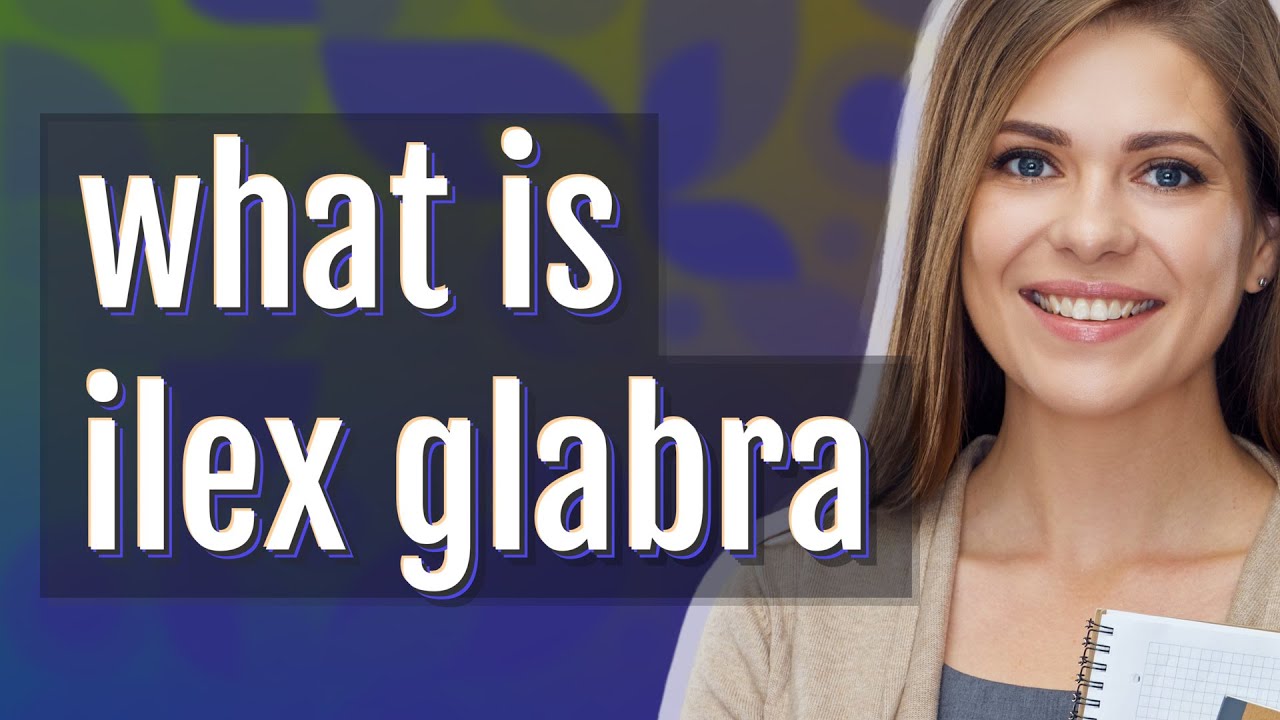 Ilex glabra | meaning of Ilex glabra