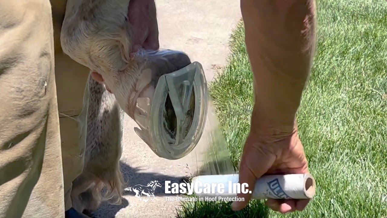 EasyShoe 3D Application