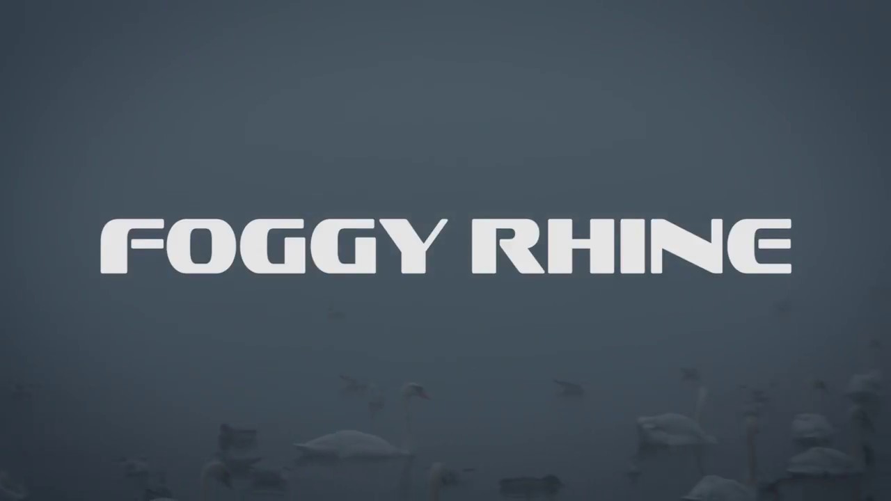 Travel-Vlog: Traumlandschaft - der Rheinstrand bei Hitdorf im Nebel