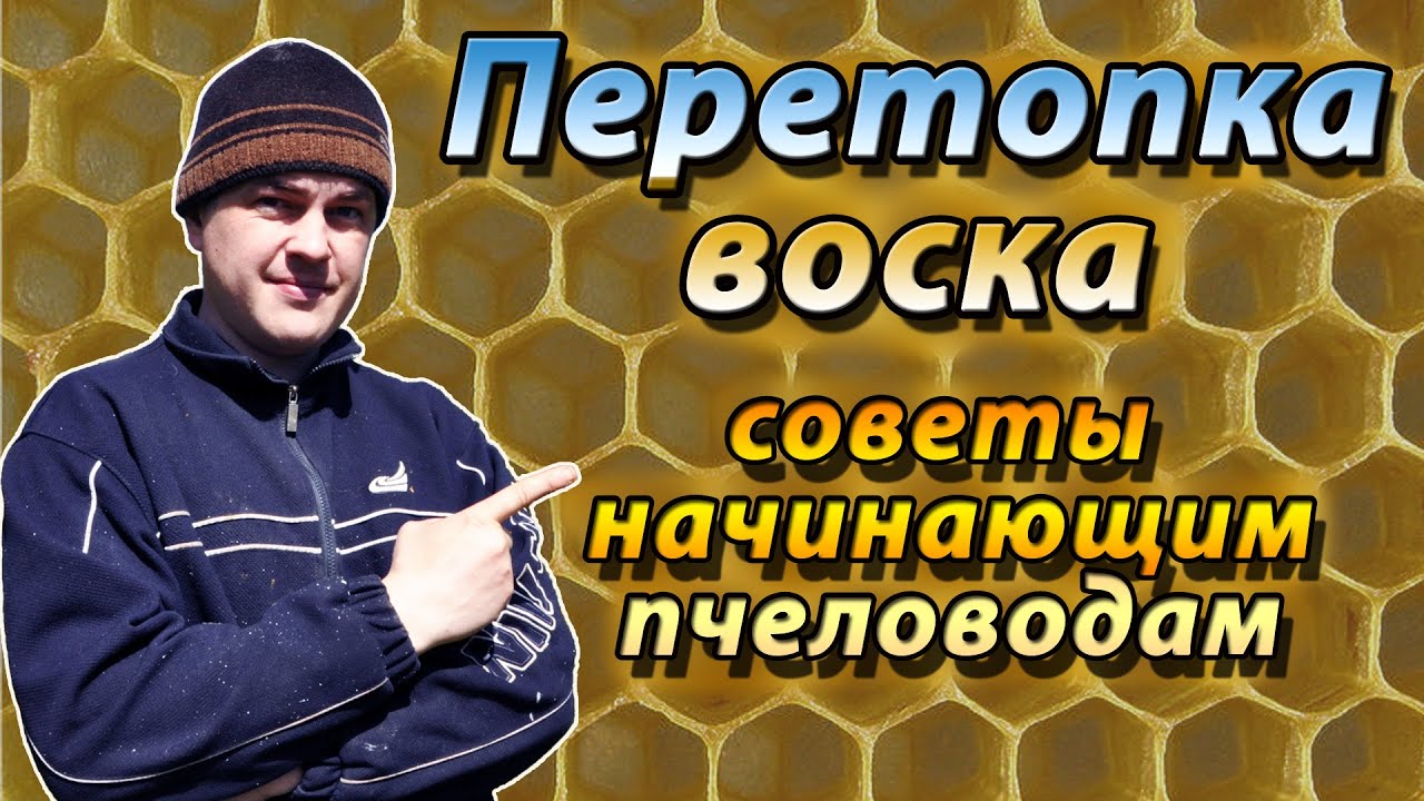 Как правильно перетапливать пчелиный воск для обмена на вощину. Конструкции воскотопок.