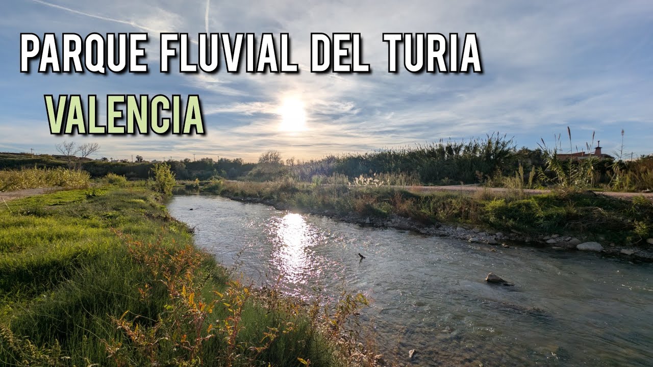 Parque del Río Turia (Valencia): Un oasis verde