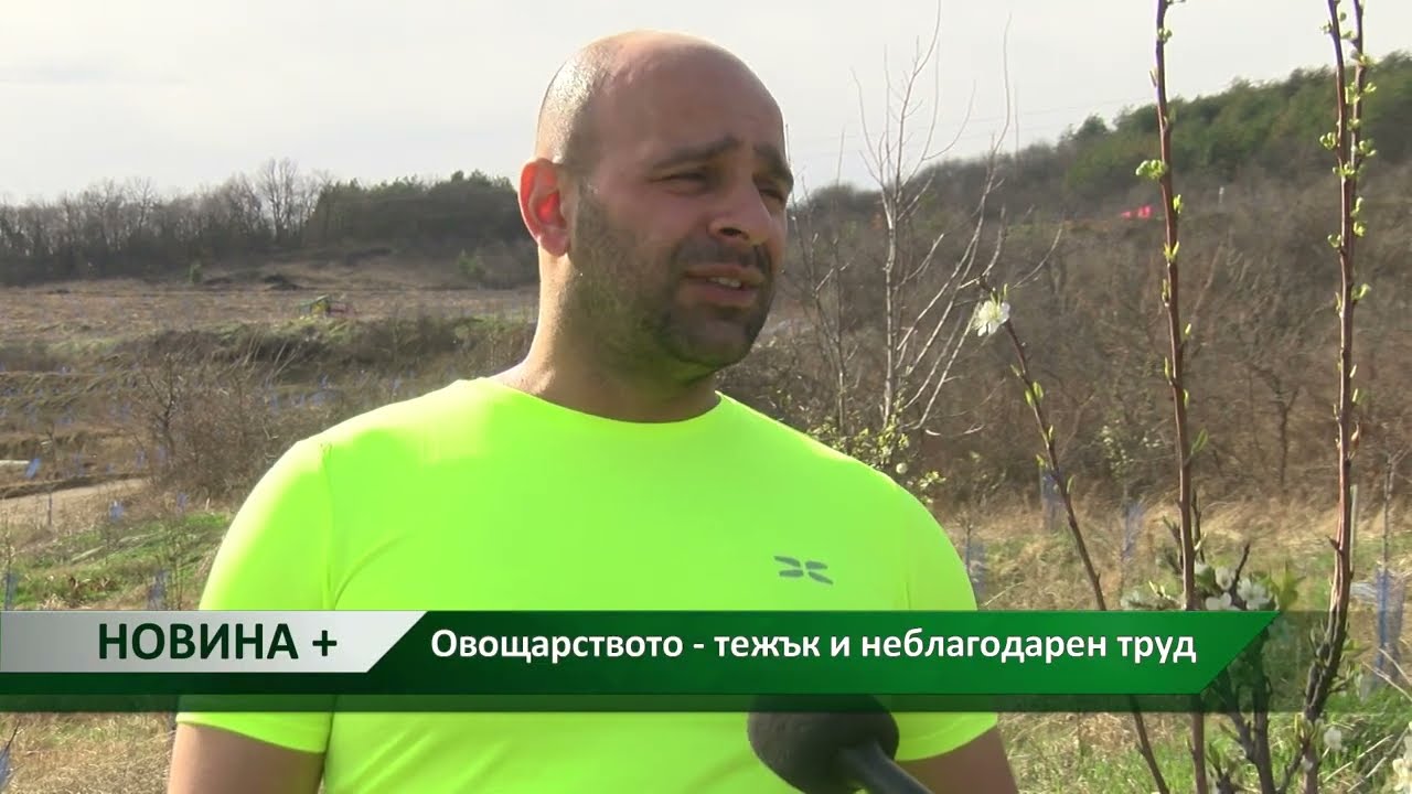 Новина плюс: Овощарството - тежък и неблагодарен труд, автор: Ана Минева