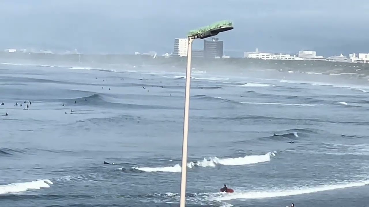 【鵠沼海岸】2025.4.14(月)AMコシハラ