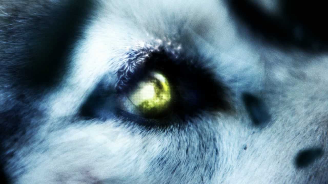 DAVID GUETTA - SHE WOLF (FALLING INTO PIECES) FT. SIA [BRASS HUNTER INSTRUMENTAL REMIX]