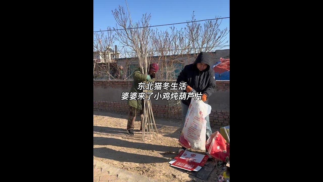 随着东北天气越来越冷 我家小鸡也开始猫冬了！今天我爸收拾收拾鸡窝 顺便把攒了好几个月的破烂也归拢一下～今天婆婆和大姑姐远道而来 我爸又宰了只老母鸡炖葫芦条#记录我的农村生活 #青年创作者成长计划 #
