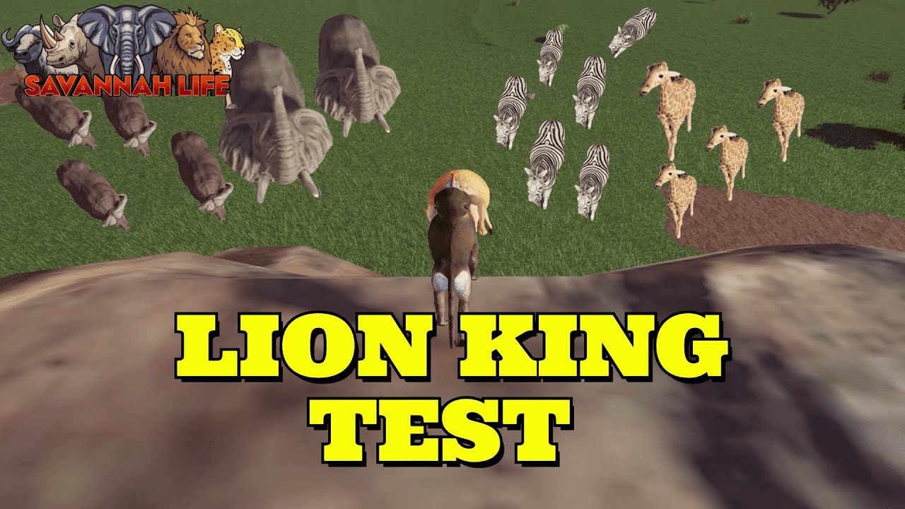 Lion King test | Savannah Life | Roblox