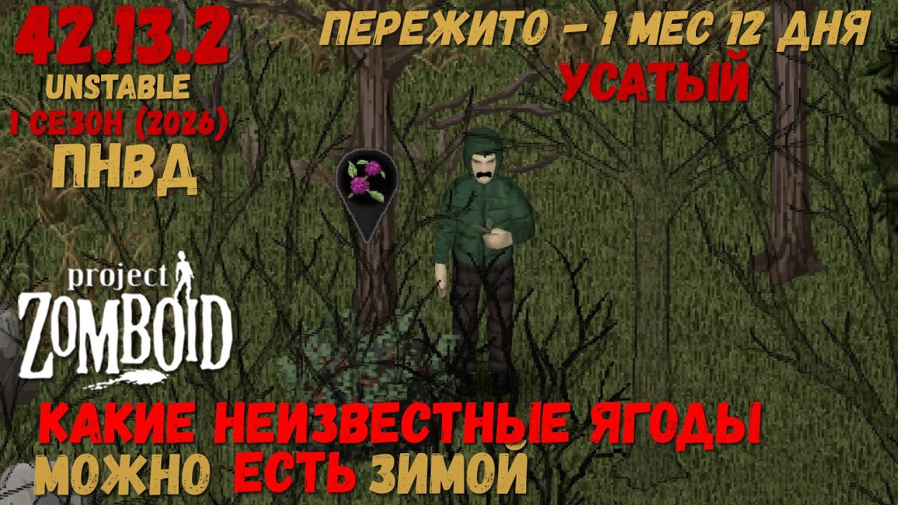 Project Zomboid I 42b I v. 13.2  I Какие ягоды можно есть зимой? I ПНВД I 08 стрим I01 сезон-2026I