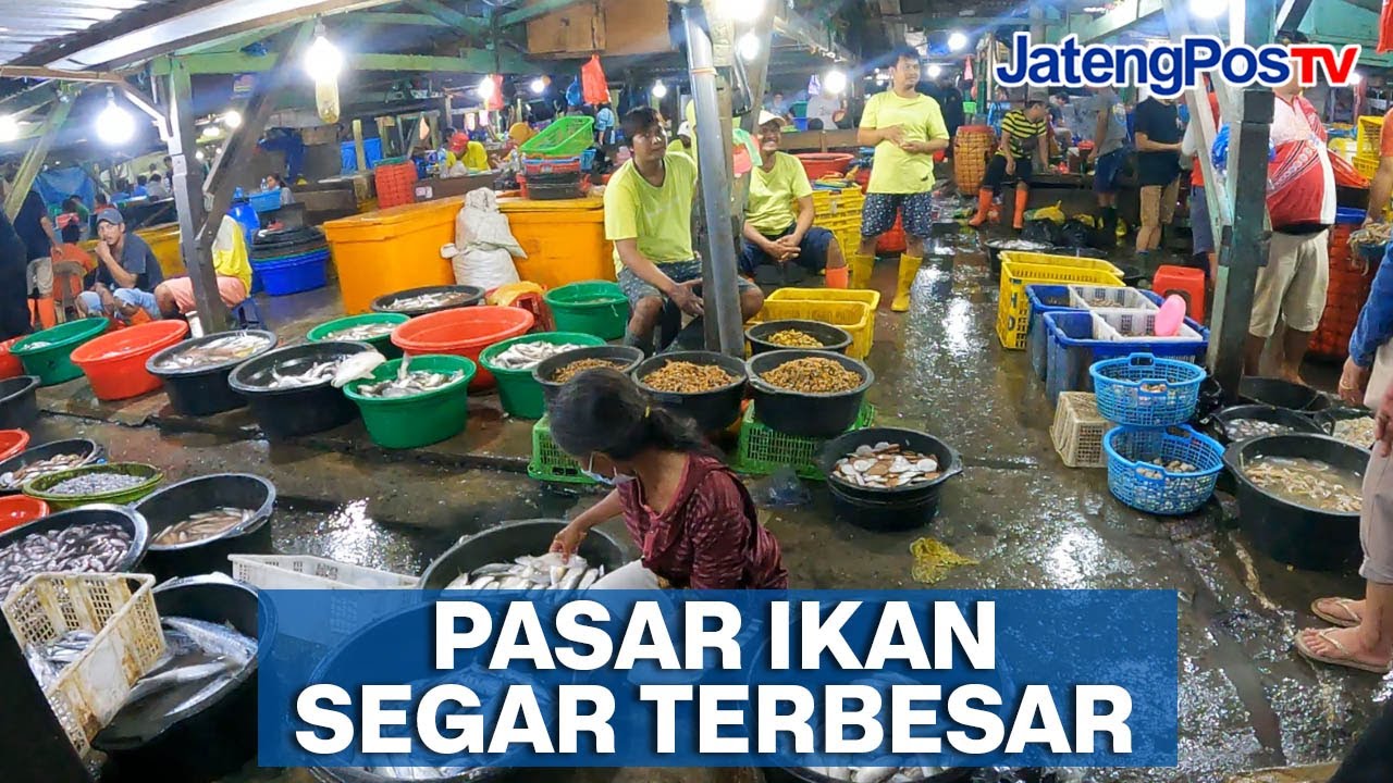 PASAR KOBONG, PASAR IKAN SEGAR TERBESAR | JATENGPOS TV