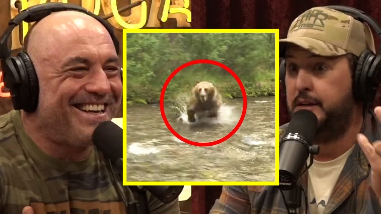 Bears Didn't Scare Me Until I Learned This.. | Joe Rogan
