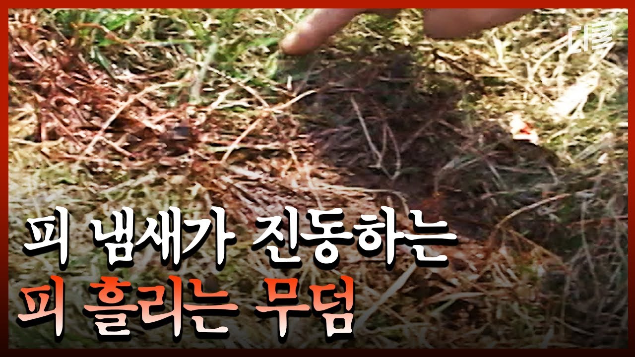 수맥이 흐르는 장소에 일어난 미스테리한 일들... 사람들이 목 놓아 부르는 이름의 정체 | #위험한동영상SIGN