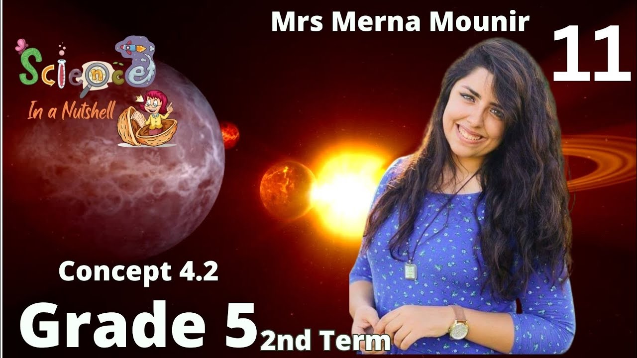 science-concept 4.2-summary- ملخص الكونسبت الاخير سنة خامسة - Grade 5