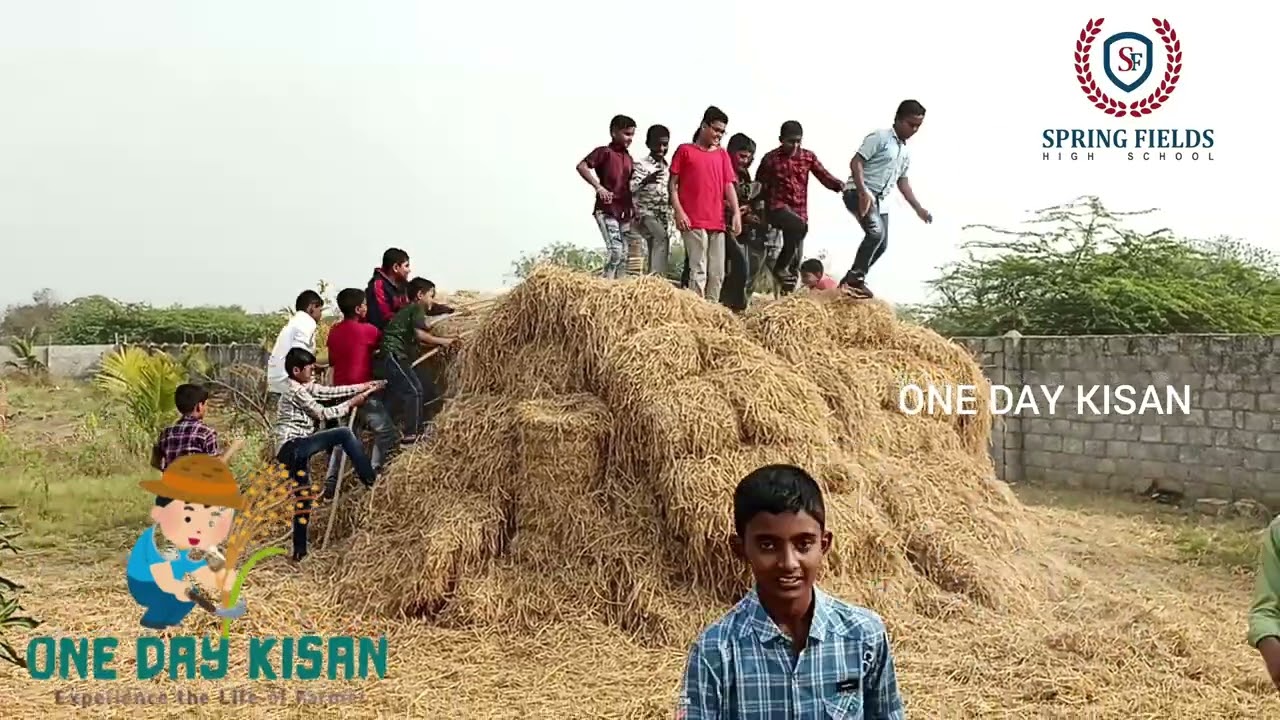 || SPRING FIELDS HIGH SCHOOL||PADMAJIWADI,KAMAREDDY|| @onedaykisan #fieldtrips #farmer #farming
