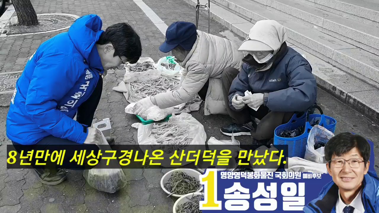 #송성일테레비5편  #후보의하루 #그냥샀다.