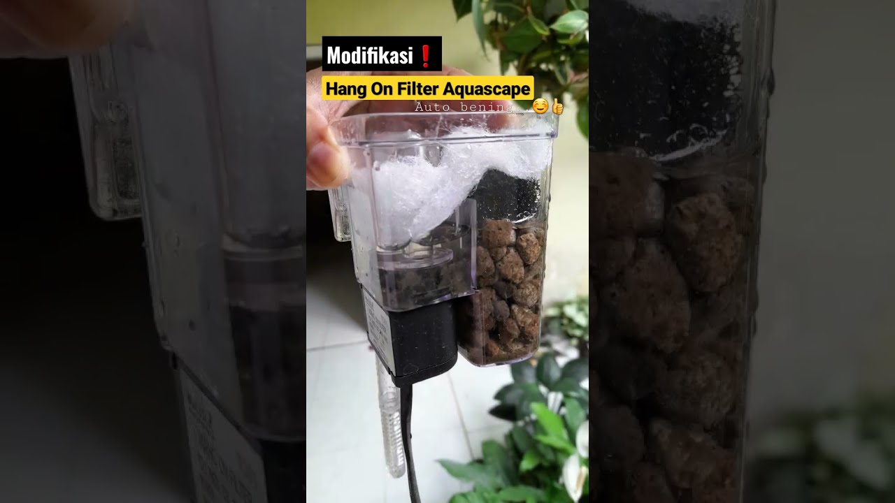Auto Bening...🤩 Modifikasi media filter gantung/ Hang On #aquascape #filteraquarium #lowtechtank