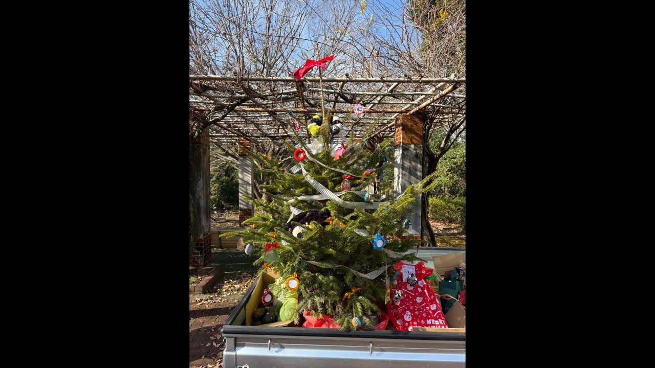 クリスマス配信！