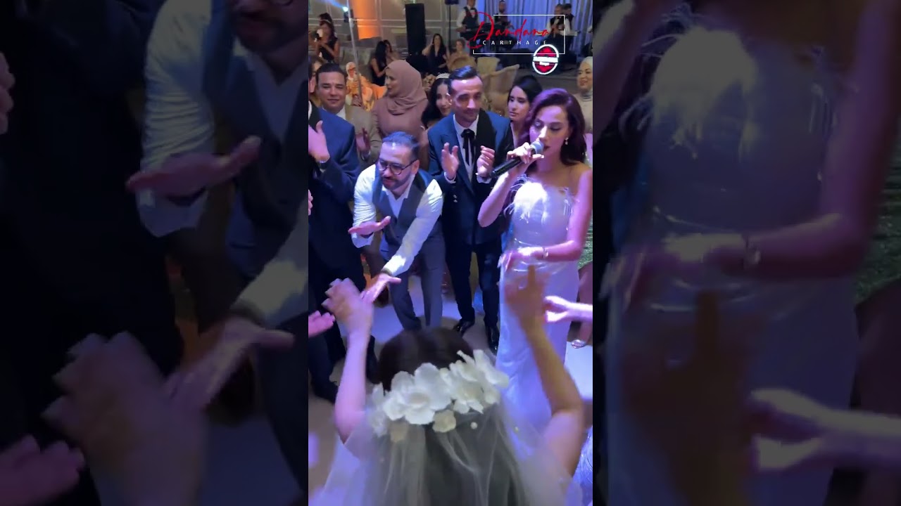 الفنانة شرين اللجمي