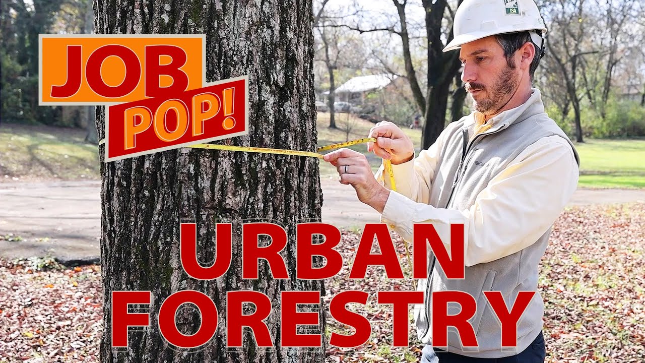 Job Pop! Urban Forestry