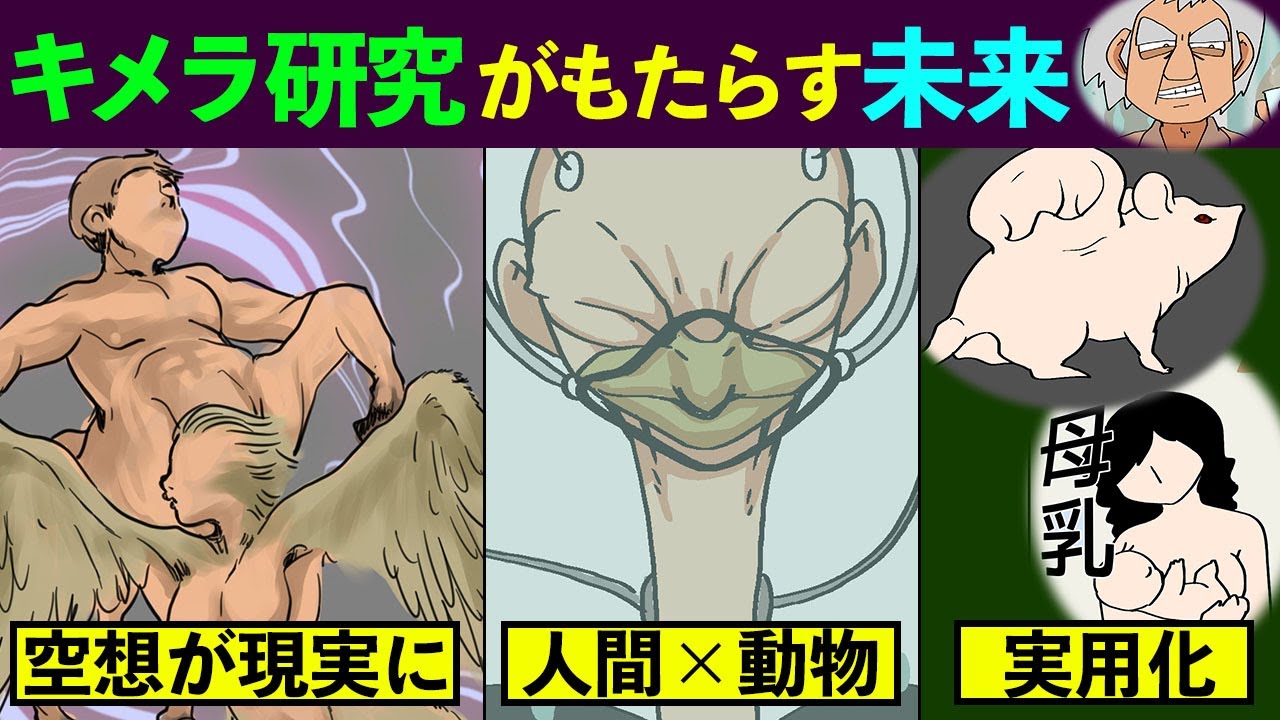 【漫画】人間×動物!?キメラ研究のもたらす未来【マンガ動画】