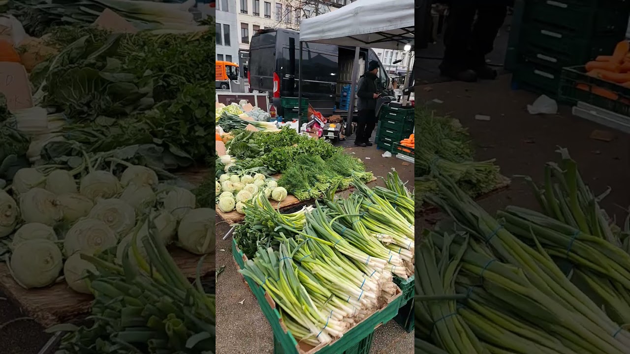 утренняя прогулка! г. Антверпен