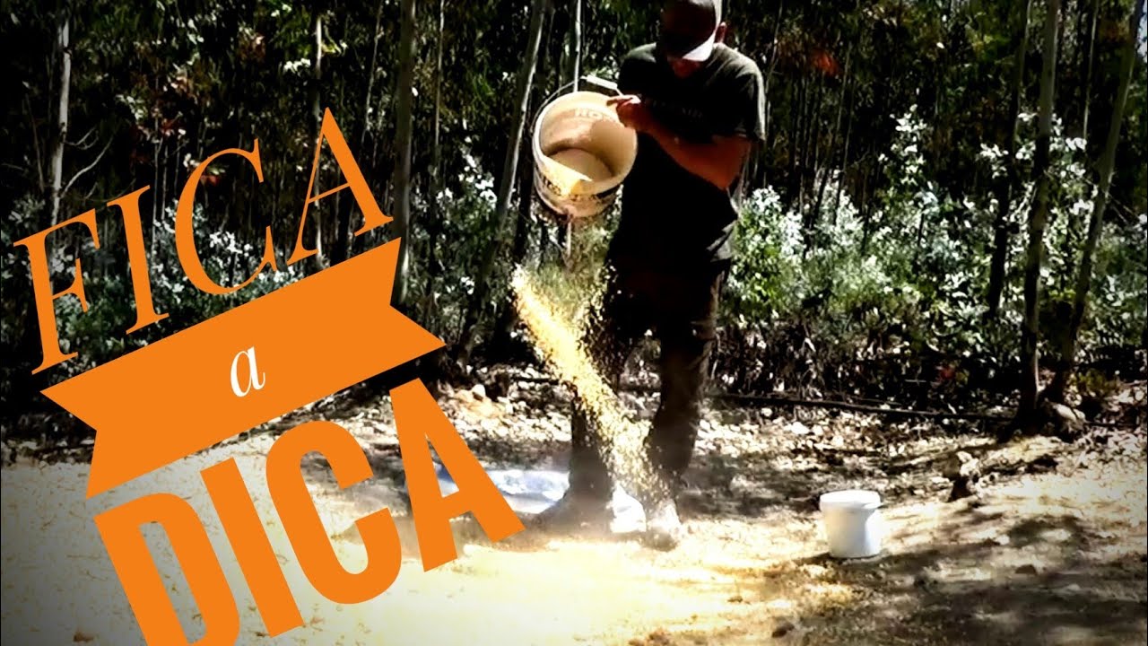 [2022] Esperas ao Javali -- FICA A DICA Como manter o interesse dos javalis no cevadouro Tiago Tacão