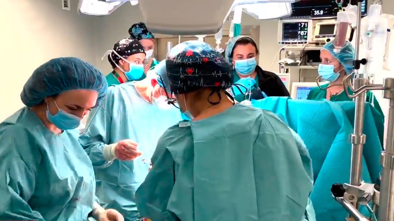 El Hospital 12 de Octubre, líder en trasplantes de órganos sólidos en 2024