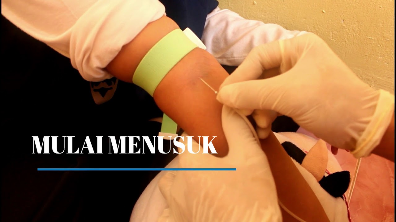 Cara Pengambilan Darah Vena Menggunakan Wing Needle
