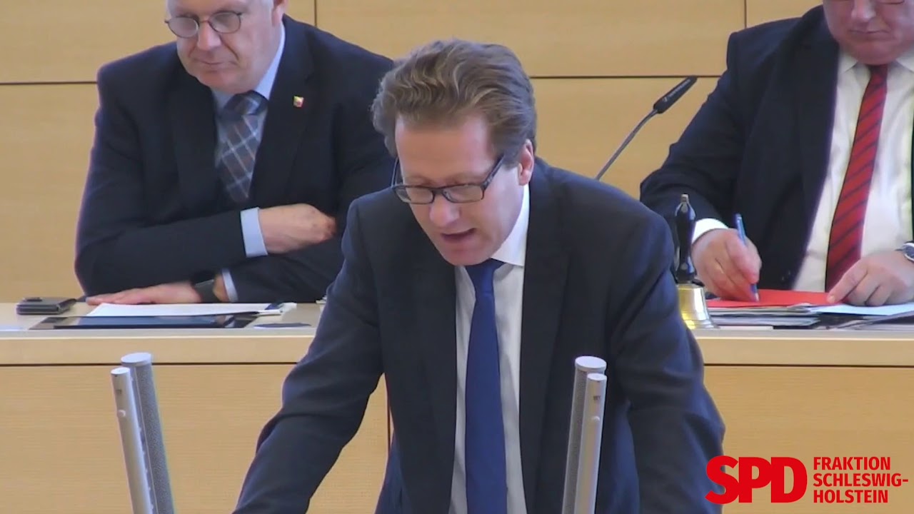 Martin Habersaat zu Antisemitismus und #AFD - #FraktionsZeug
