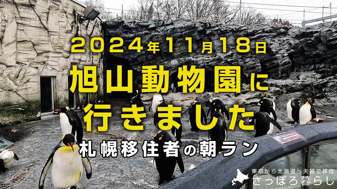 初めて旭山動物園に行ってみました｜札幌移住者の日常