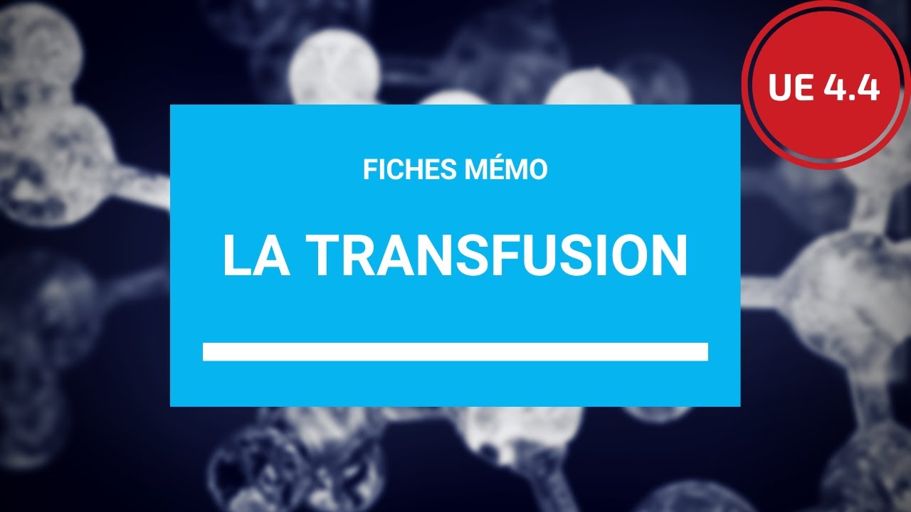 La transfusion sanguine