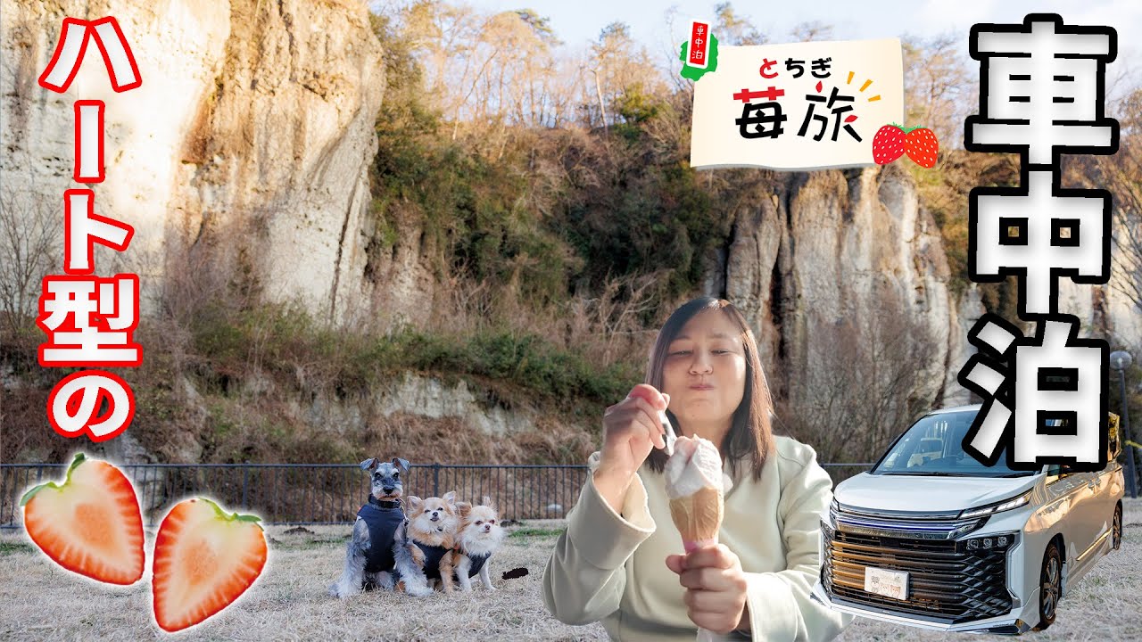 とちぎいちご三昧・車中泊の旅！圧巻の大谷石と新品種の愛されいちごとちあいかを堪能！