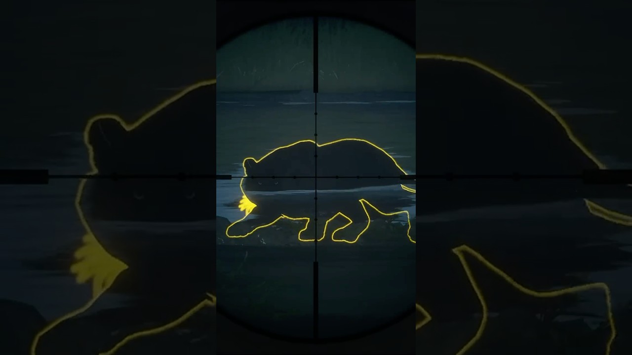 Stalked By SUPER RARE 👀 Melanistic Diamond💎 TIGER 🐯 -  theHunter: Call of the Wild #shorts