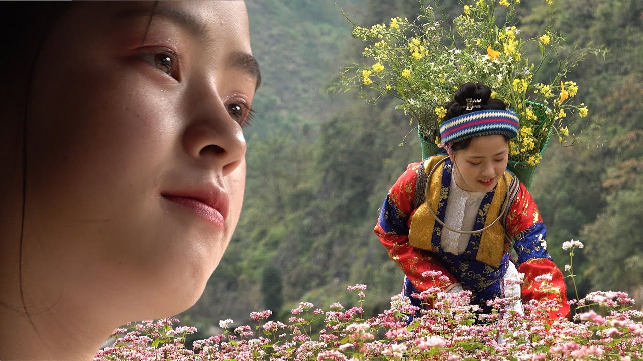 Cô Gái Bán Lê Nhảy Giữa Rừng Hoa Tam Giác Mạch | Du Lịch Hà Giang | Traveling Man