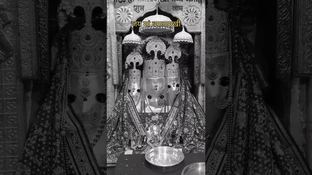 जय मां बगलामुखी शक्तिपीठ नलखेड़ा 🌸⚜️।। जगदम्बे मा का सुंदर प्रसिद्ध भजन 💛🔱!!#bagalamukhi #youtube 
