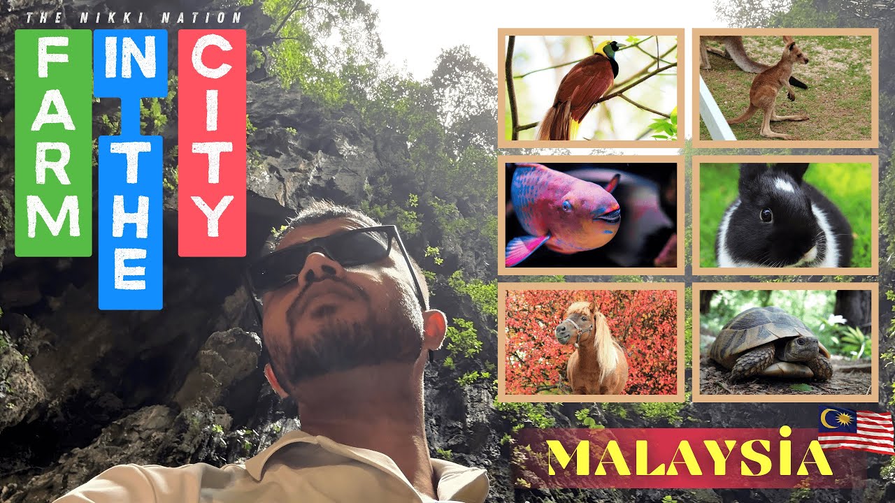 Malaysia's Famous Farm in the City