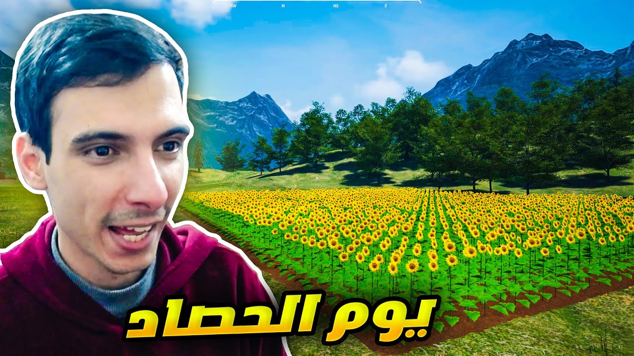 محاكي المزارع #17| يوم حصاد حب عباد الشمس   🔥|Ranch Simulator