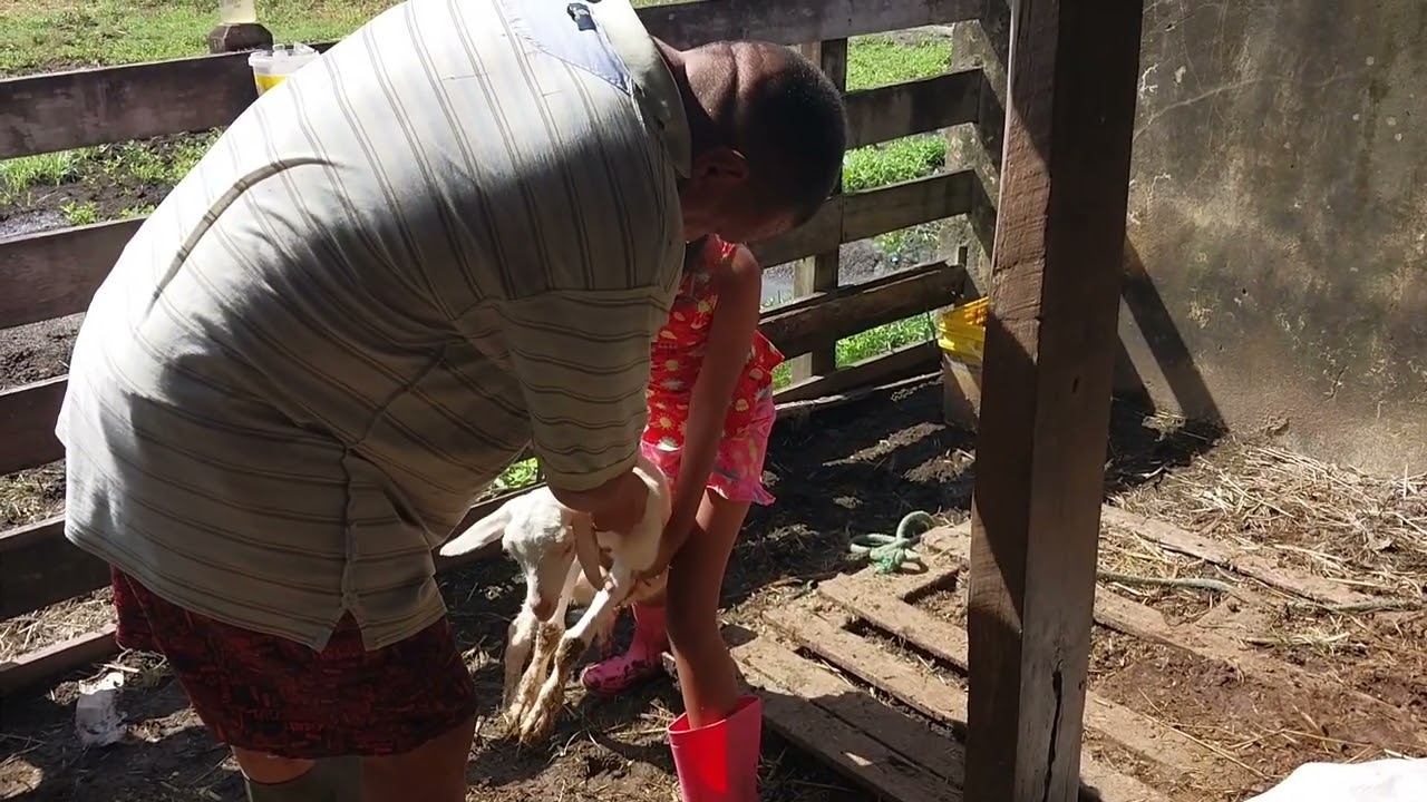 Continuação da vacinação