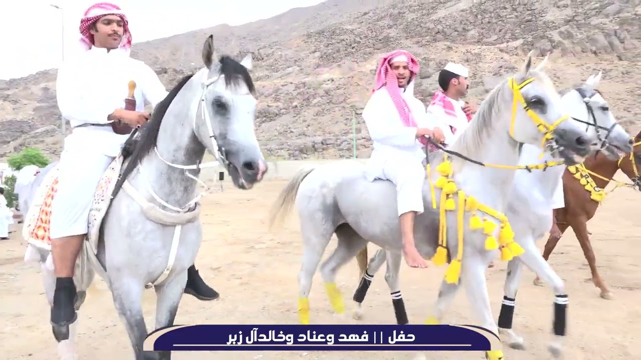 حفل / فهد وعناد وخالد آل زبر