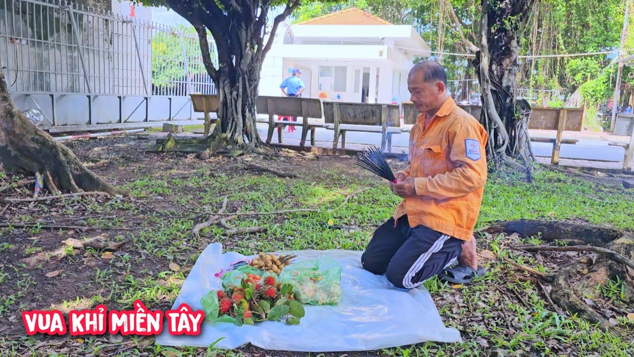 Nghe Vua Khỉ nói câu này trước khi cắt đọt 4 cây Phượng, nghe mà lạnh người.