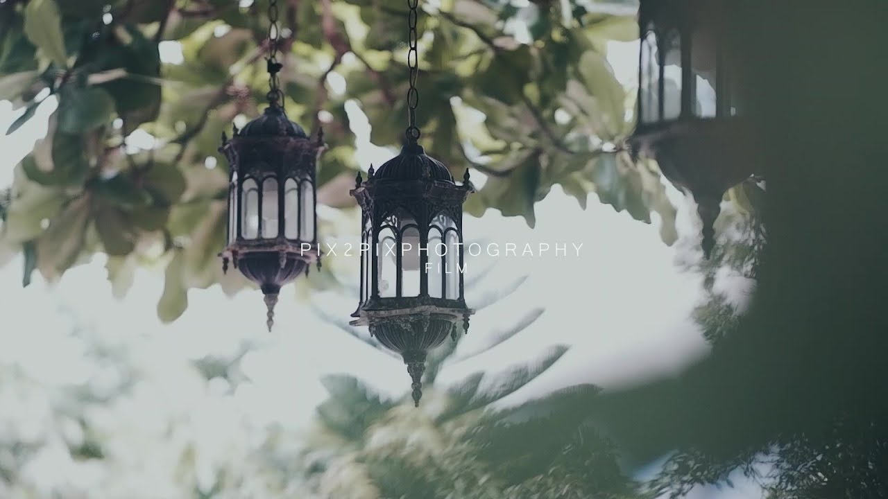 TERRY 60th BIRTHDAY CELEBRATION SDE