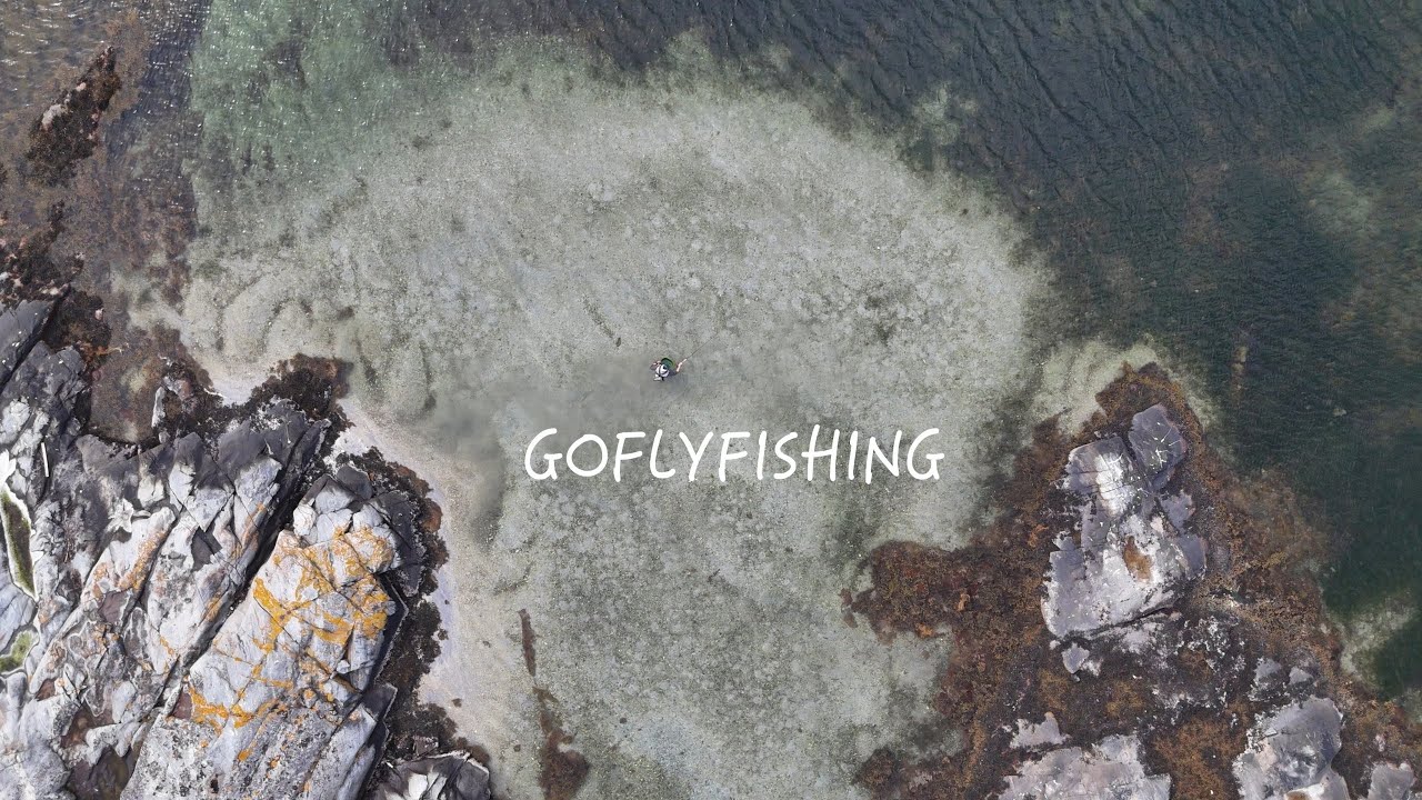 Seatrout Flyfishing in Norway, Orvis Helios D