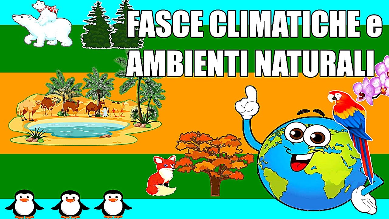 🌞🌵🧊🐧 FASCE CLIMATICHE e AMBIENTI NATURALI (Biomi) - Geografia Scuola Primaria e Secondaria I° 🌍📚
