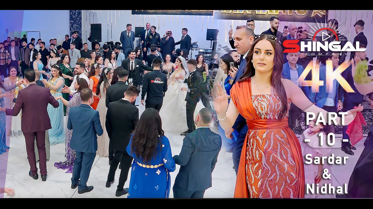 Sardar & Nidhal - Part 10 - عمر سليمان- Omar Souleyman - 4K - by #Shingal_Company