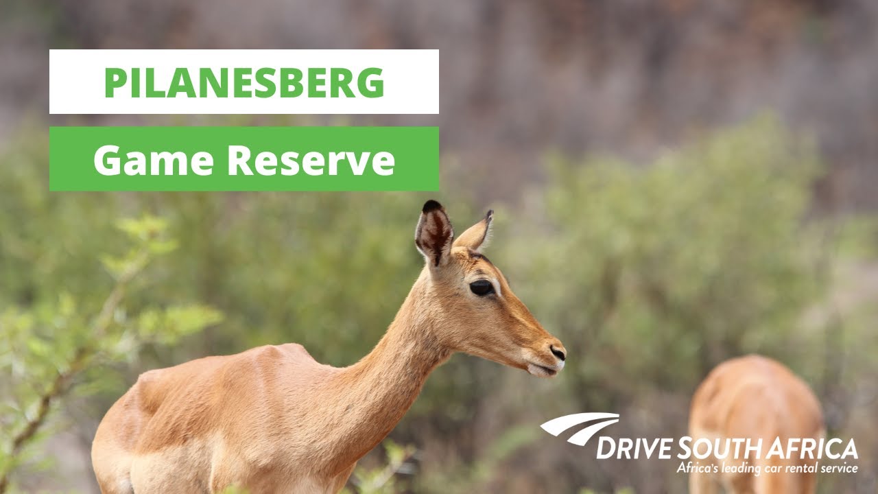 Pilanesberg Game Reserve